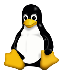 Project 19: Exploring evolution of Linux